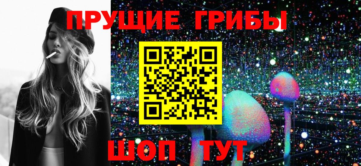 Кинель  Галлюциногенные грибы Psilocybe  Псилоцибиновые грибы Magic Shrooms  Вход с VPN 