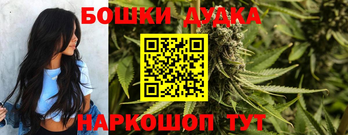 Марихуана индика  Каннабис планчик  Кинель  МАРИХУАНА план  Вход с VPN  МАРИХУАНА Ganja 